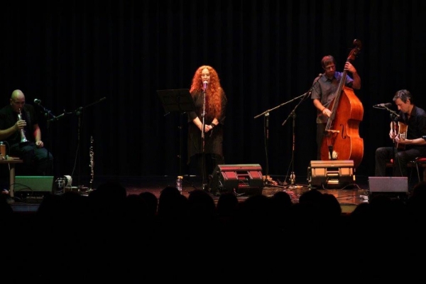 ZAKLJUČEK PRIREDITEV LEN-ART - KONCERT NECE FALK