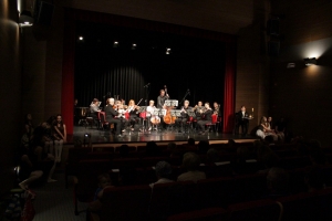 Nastop salonskega orkestra učencev in učiteljev